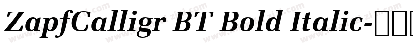 ZapfCalligr BT Bold Italic字体转换